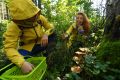 ����������� ���������������� ����������, ��� ��������� ��������� ����� ����� ����