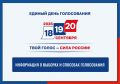 Информация о выборах и способах голосования