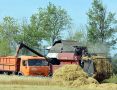 Урожай-2026: Южноуральские аграрии собирают второй миллион тонн зерна