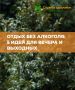 Мы присоединились к Неделе сокращения потребления алкоголя!