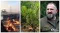 Камеры, дроны и новая техника: как на Южном Урале спасают леса от пожаров