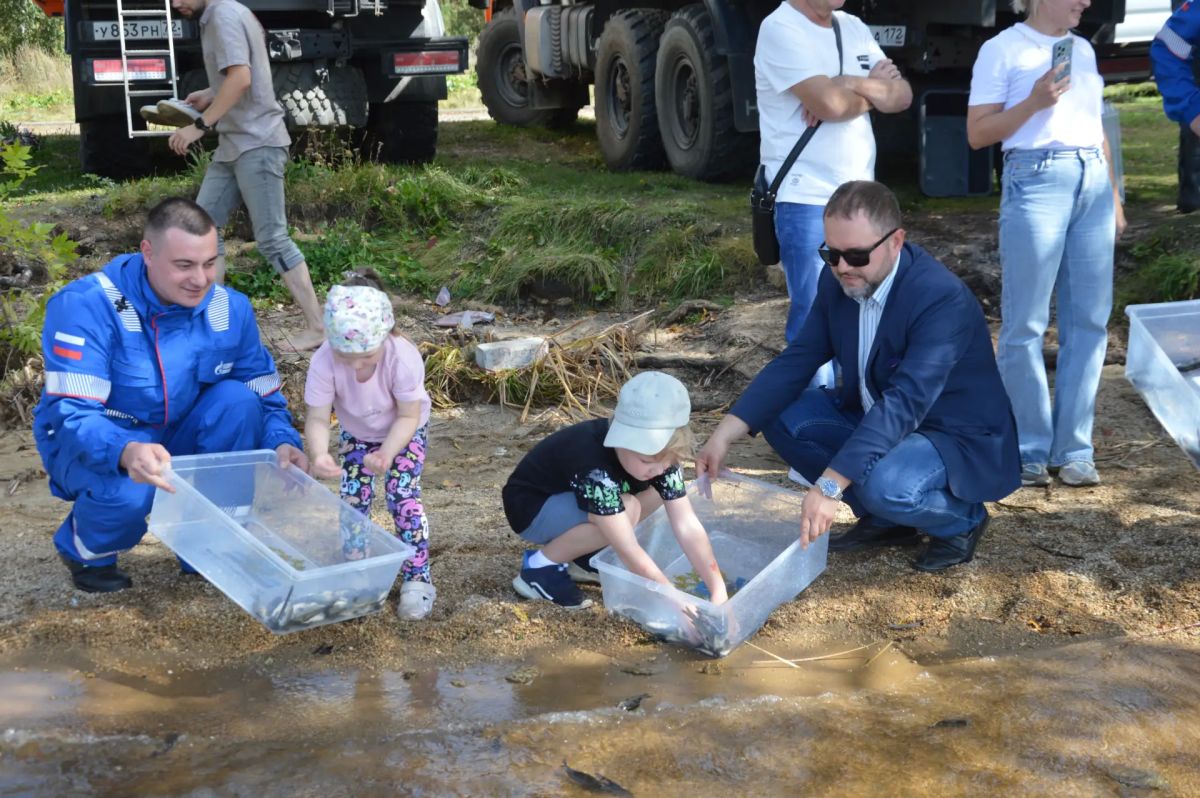 В Шершневское водохранилище выпустили более 11,5 тысяч молоди сазана