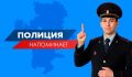 Полиция Челябинской области напоминает жителям и гостям региона о недопустимости нарушения общественного порядка при посещении публичных мероприятий