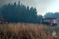 На юге Челябинской области ликвидируют лесные пожары