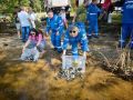В Шершневское водохранилище выпустили более 11,5 тысячи мальков сазана
