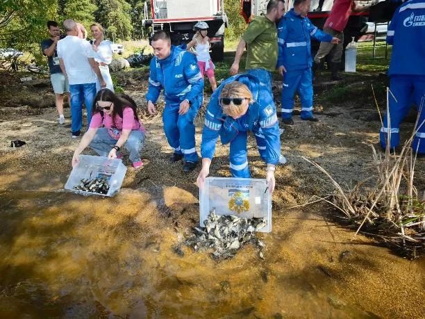 В Шершневское водохранилище выпустили более 11,5 тысячи мальков сазана