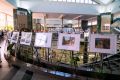 �� ��������������� ������� ��������� �������� ����� �����������: ������ ���� �������