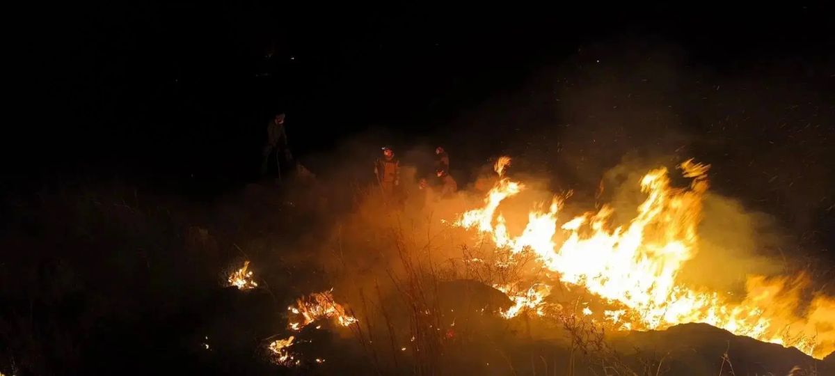 Пожарная обстановка в регионе под контролем Пожарная обстановка в регионе под контролем