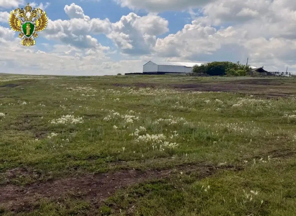 B Чесменском районе в водоохранной зоне ликвидирована несанкционированная свалка отходов B Чесменском районе в водоохранной зоне ликвидирована несанкционированная свалка отходов
