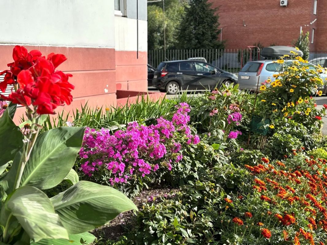 «Из интернета выписываю»: пенсионерка из Челябинска превратила свой двор в цветущий сад и попала в проект к 290-летию города «Из интернета выписываю»: пенсионерка из Челябинска превратила свой двор в цветущий сад и попала в проект к 290-летию города