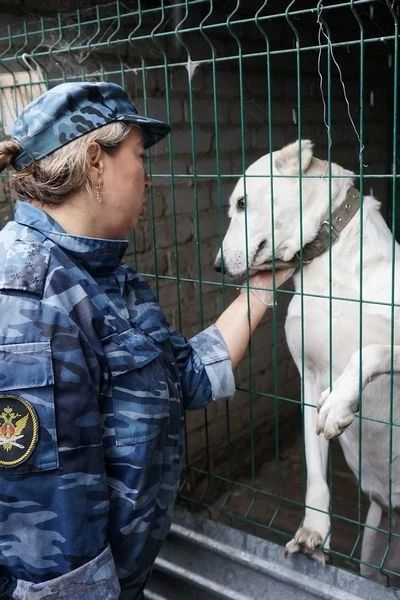 #Спешите_делать_добро
#Волонтеры_УИС #Спешите_делать_добро
#Волонтеры_УИС