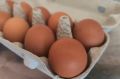 Россельхознадзор не дал вывезти из Челябинской области яйца без документов