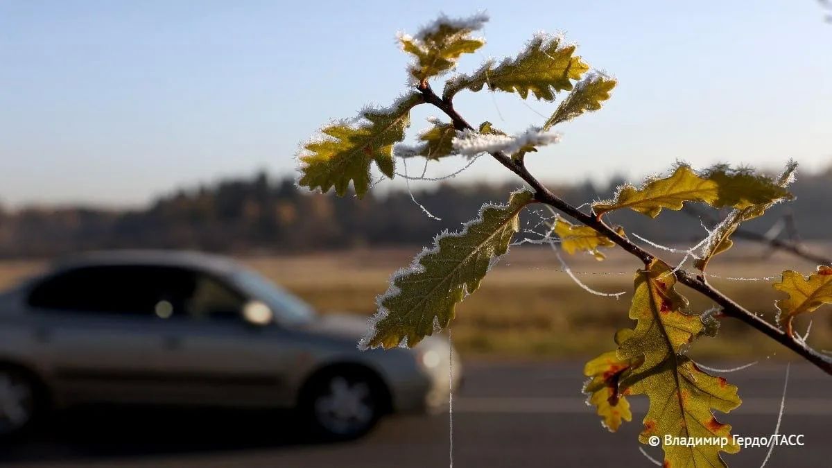 Заморозки до минус 2 градусов прогнозируются до 20 сентября в Челябинской области, объявлено штормовое предупреждение, сообщили в региональных ГУ МЧС
