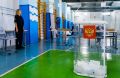 Общественные наблюдатели за выборами рассказали о работе избирательных участков в Челябинской области