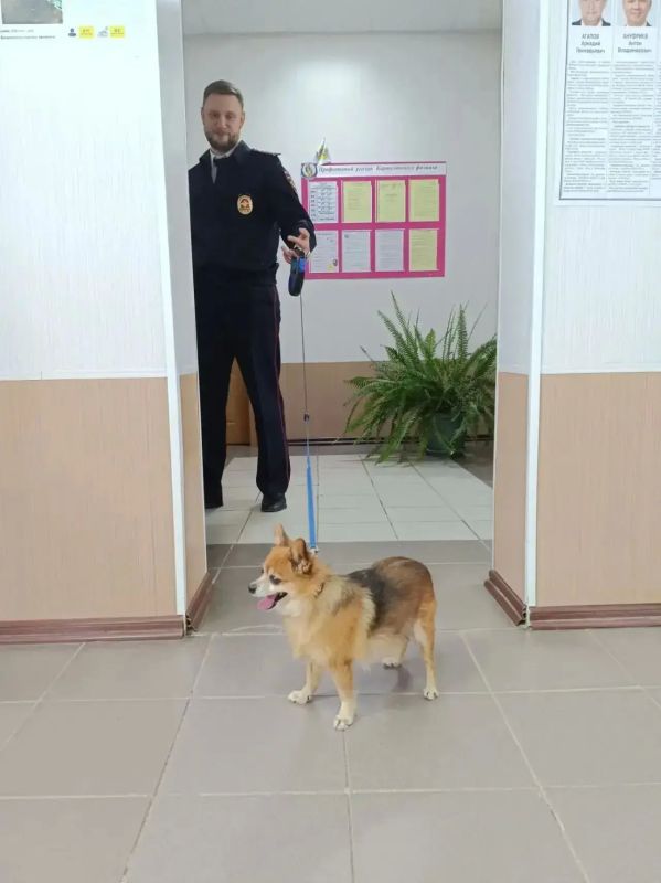 Южноуральцы приходят голосовать со своими животными Южноуральцы приходят голосовать со своими животными