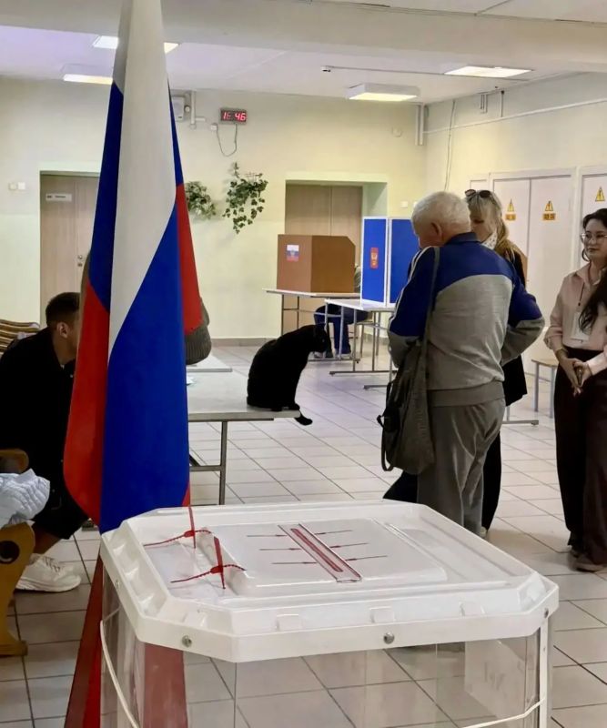У них лапки, но это не мешает следить за тем, чтобы выборы в Челябинской области проходили по всем правилам У них лапки, но это не мешает следить за тем, чтобы выборы в Челябинской области проходили по всем правилам