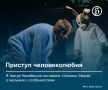 В челябинском молодежном театре поставили «Умника» Мюрай