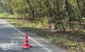 ���������������� ������ ���������� ������������� �������������� �������-������������� ������������ �� ����������� �������