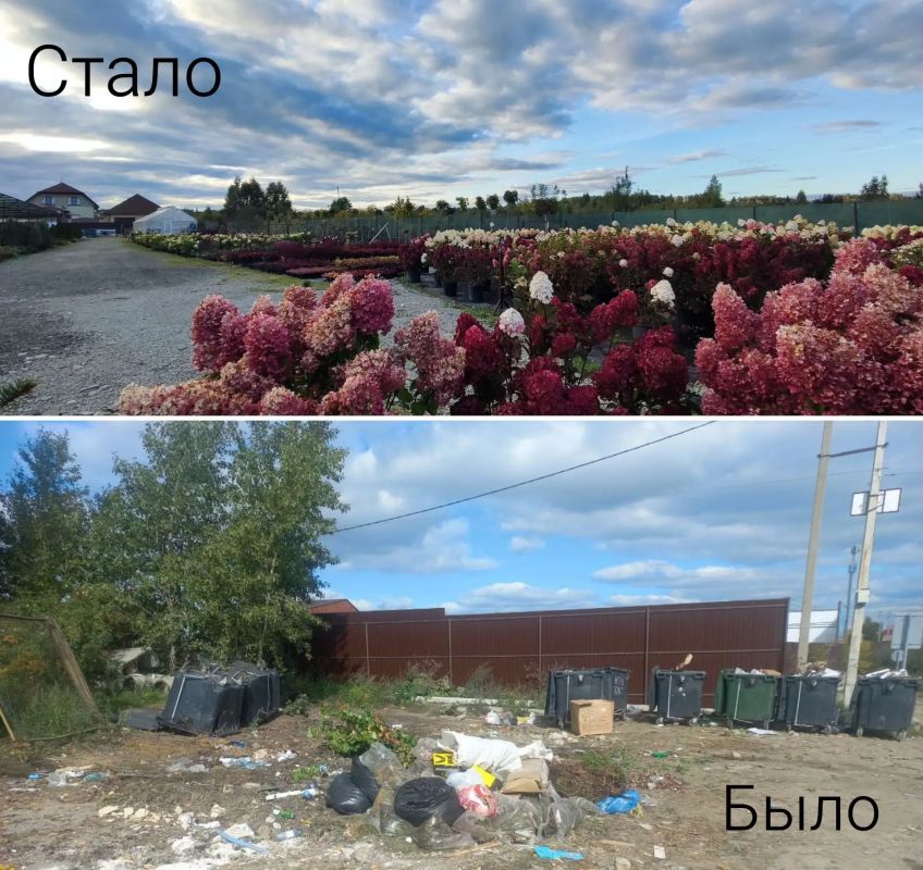 В поселке Западный на месте бывшей несанкционированной свалки теперь цветы и саженцы деревьев В поселке Западный на месте бывшей несанкционированной свалки теперь цветы и саженцы деревьев