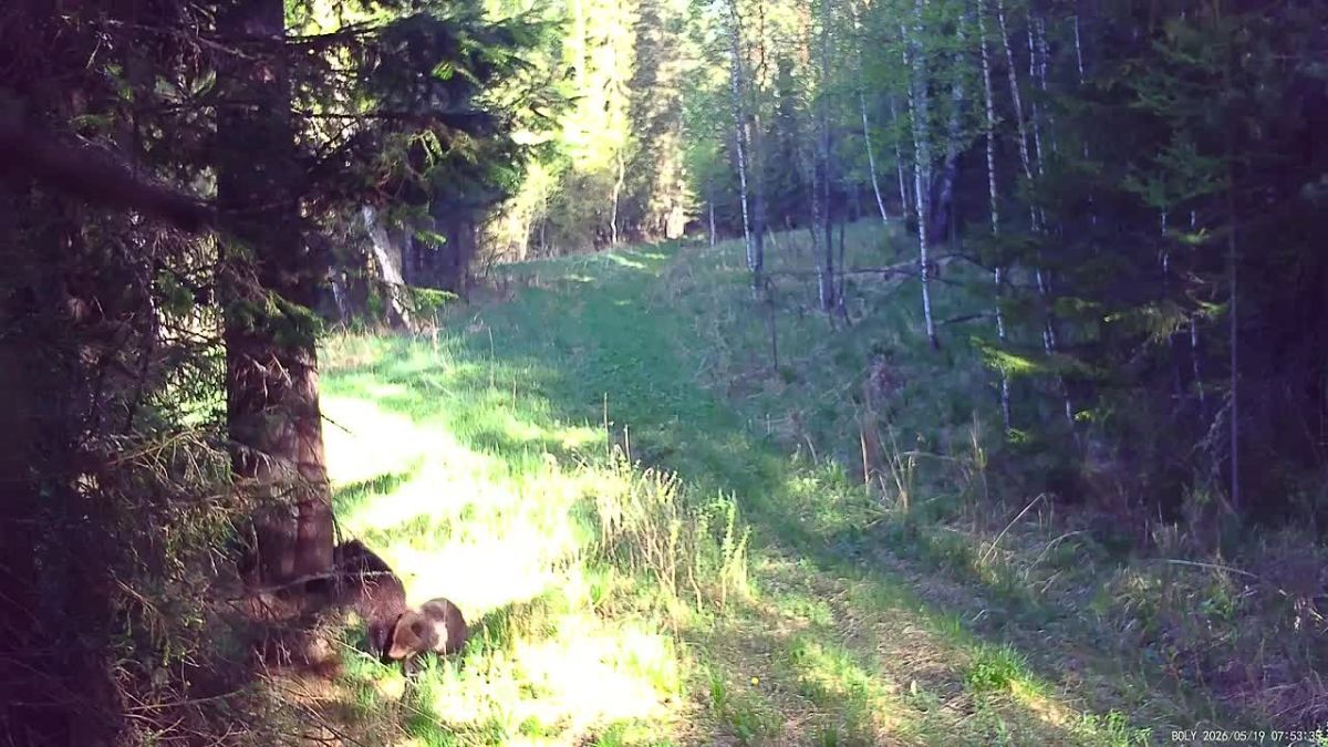 Залипательным видео поделился нацпарк «Зюраткуль»