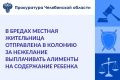 Карталинский городской суд (постоянное судебное присутствие в п. Бреды) вынес приговор по уголовному делу в отношении 36-летней жительницы п. Бреды