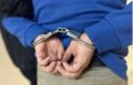 На Урале экс-полицейский в составе ОПГ, занимался похищением детей