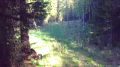 Залипательным видео поделился нацпарк «Зюраткуль»