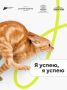 Цифровые дни социального проектирования — онлайн-интенсивы с экспертами в интерактивном формате