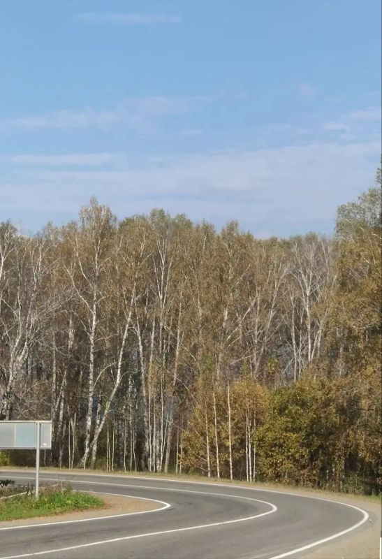 Дороги получают свежую разметку Дороги получают свежую разметку
