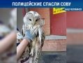 ����������� ������ ���� �� ���������