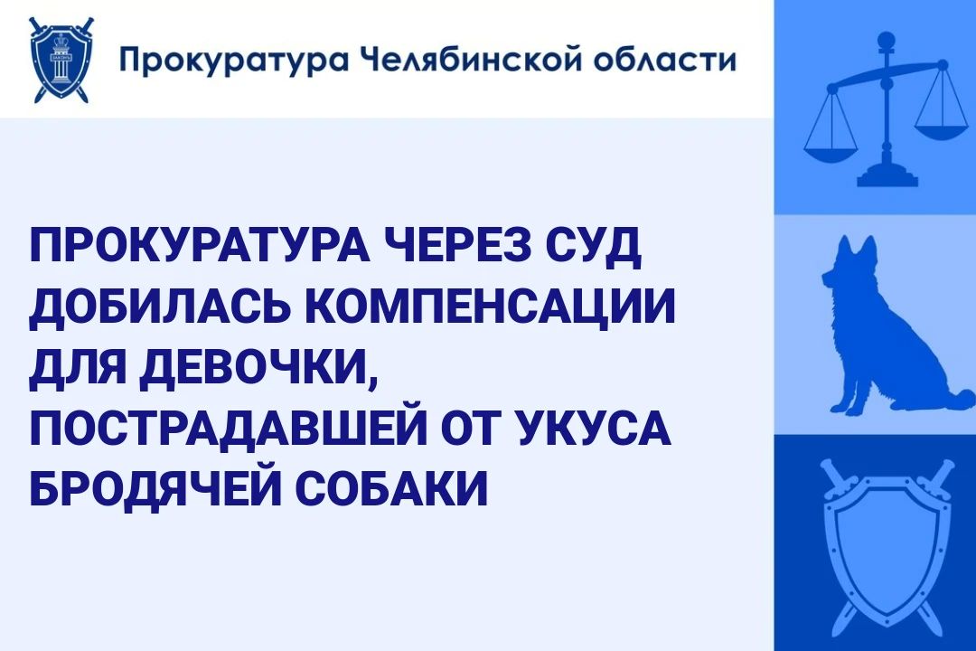 Прокуратура Курчатовского района г. Челябинска провела проверку по обращению законного представителя несовершеннолетней о причинении телесных повреждений безнадзорными животными