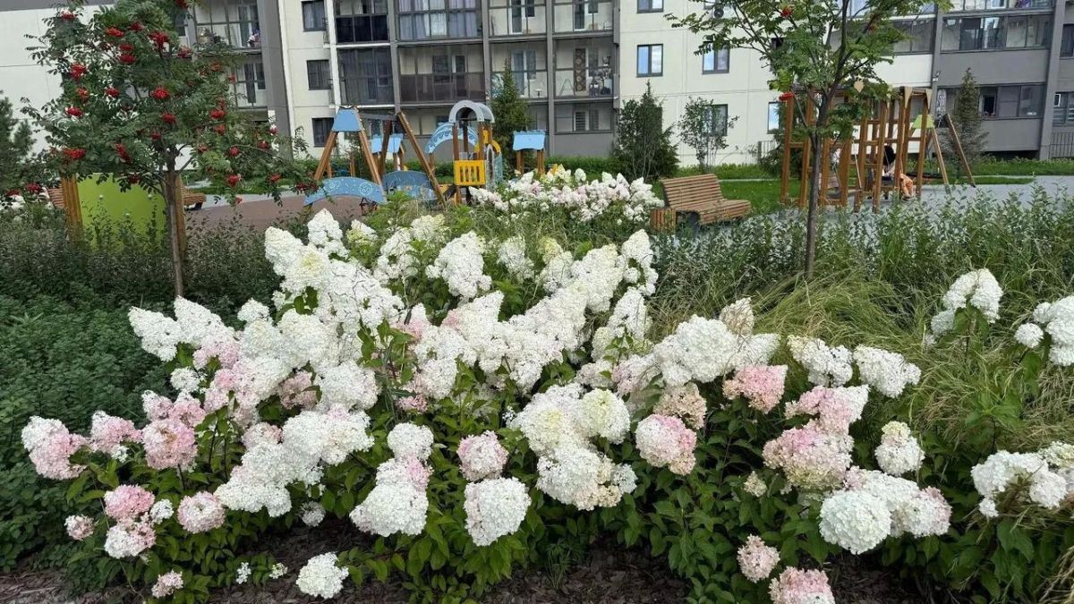 Самые благоустроенные и уютные дворы назвали в Челябинске