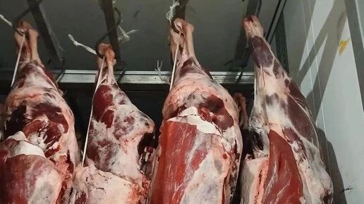 Больше 15 тонн сомнительной говядины не выпустили из Челябинской области