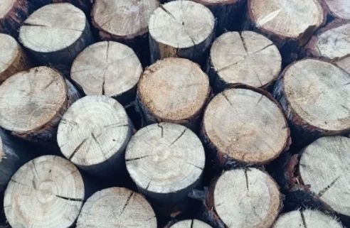 В Аргаяше организатор фестивалей для детей осталась без дров на зиму