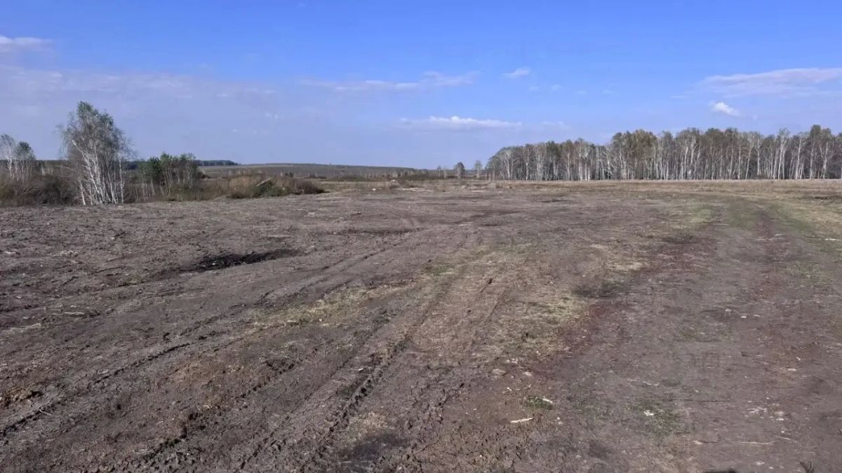 В Пласте прокуратура добилась ликвидации свалки вблизи села Демарино В Пласте прокуратура добилась ликвидации свалки вблизи села Демарино