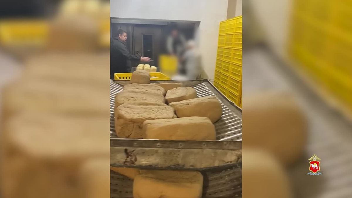 Из Челябинской области выдворят еще 52 иностранца-нарушителя
