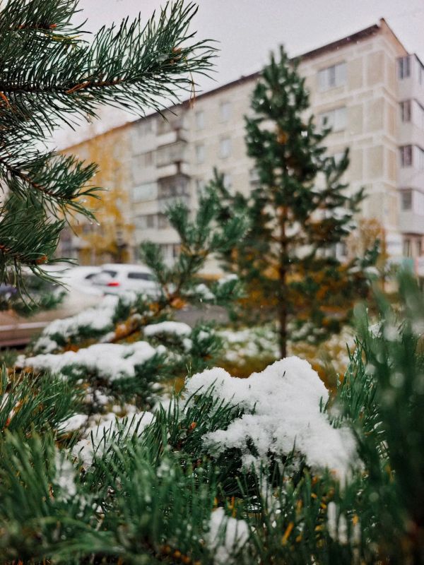 Еще совсем недавно было тепло и солнечно, а сейчас осень вдруг неожиданно встретилась с зимой! Еще совсем недавно было тепло и солнечно, а сейчас осень вдруг неожиданно встретилась с зимой!