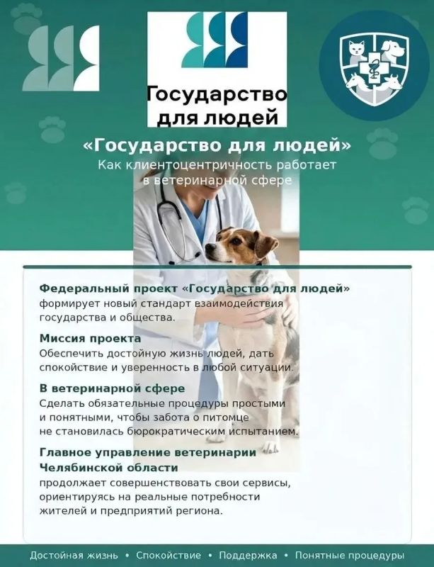 «Государство для людей»: как клиентоцентричность работает в ветеринарной сфере