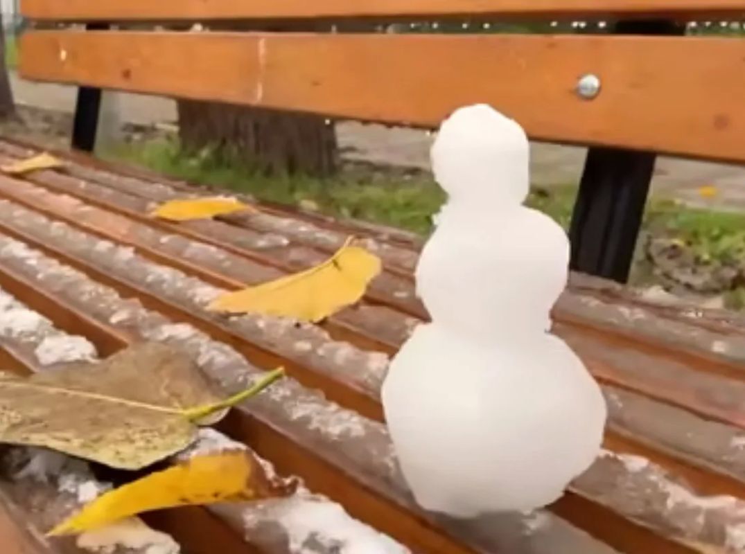В городах появились первые дети снеговиков В городах появились первые дети снеговиков