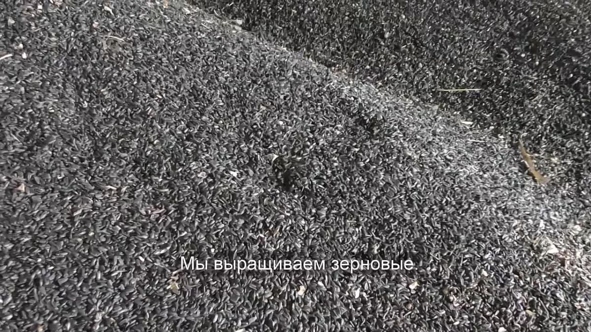 Фермер из Челябинской области победила во всероссийском конкурсе «Женщины в АПК»