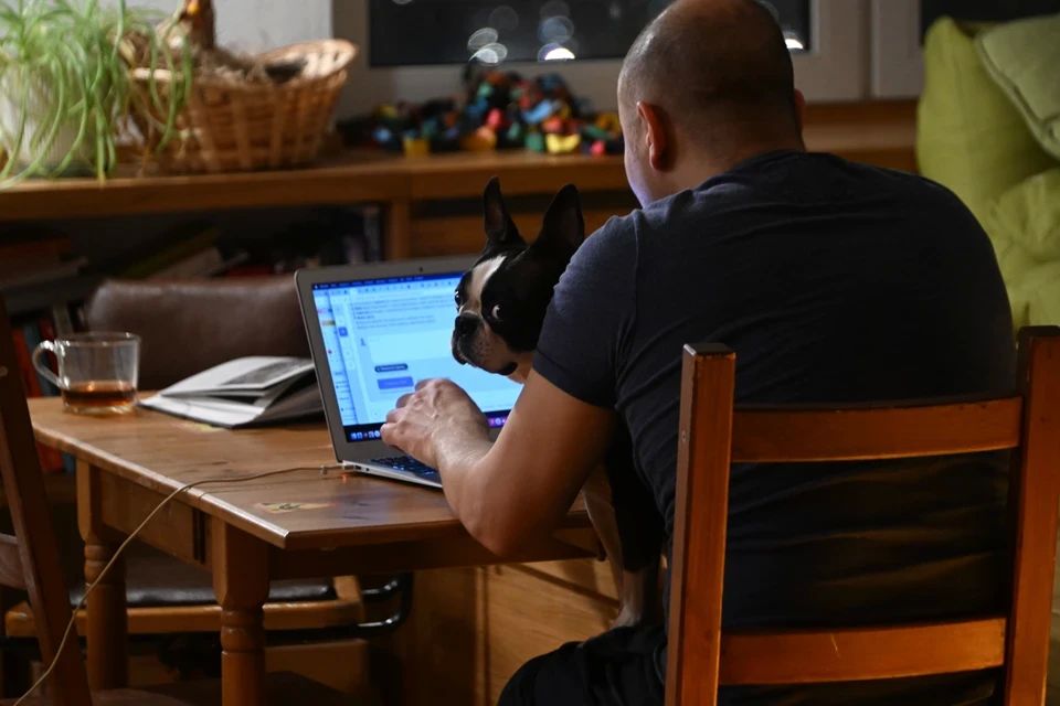 В 26% челябинских компаний есть сотрудники, работающие дистанционно