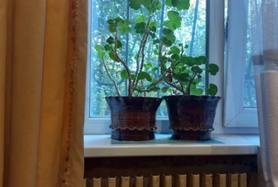 Челябинские многоэтажки без управляющих компаний хотят передать городу