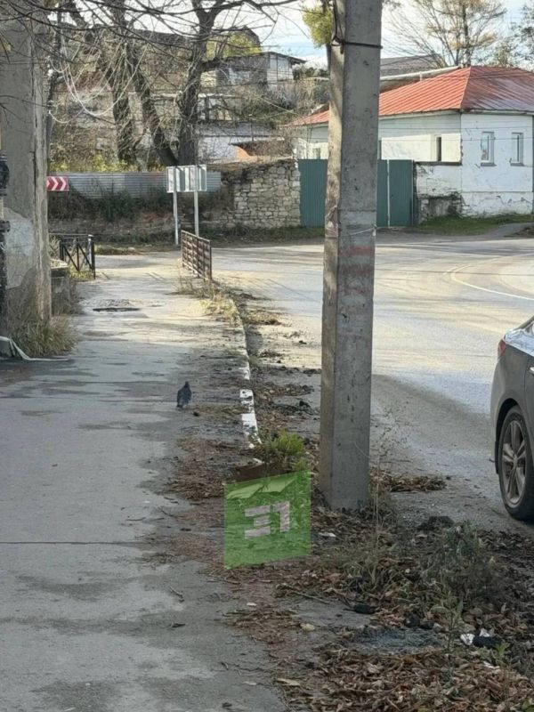 «Только поставили столбики, их уже украли» «Только поставили столбики, их уже украли»