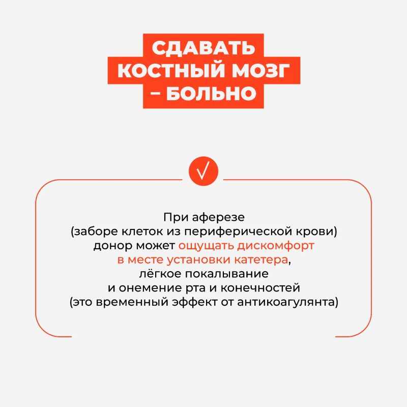 Развеиваем мифы о донорстве костного мозга Развеиваем мифы о донорстве костного мозга