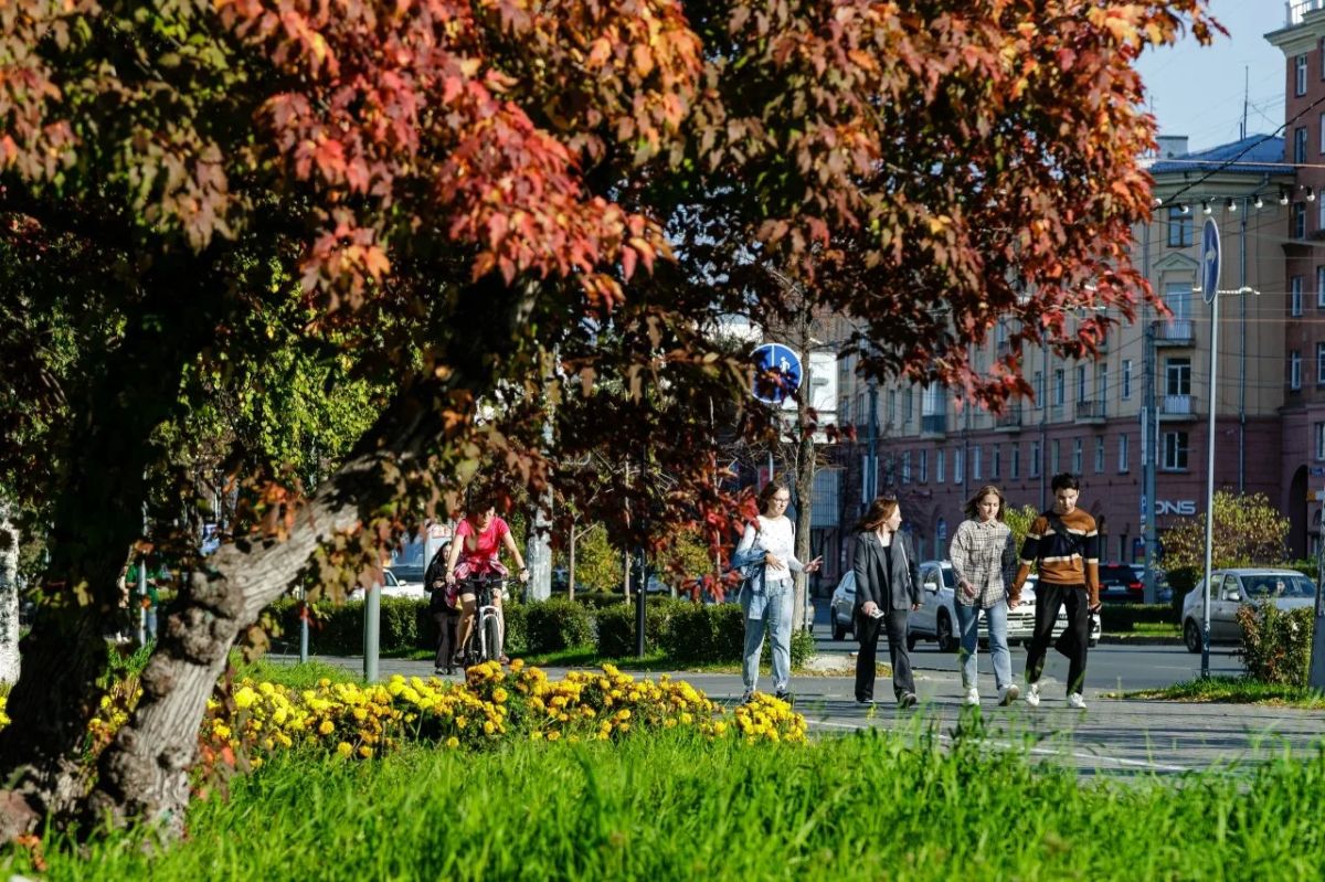 До +20 градусов: в Челябинскую область ненадолго вернулось бабье лето