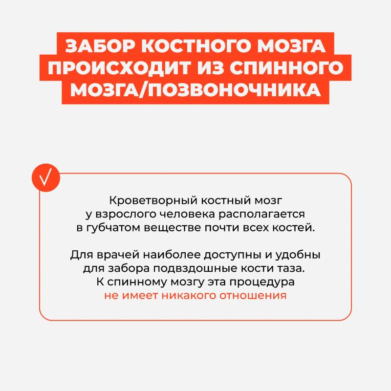 Развеиваем мифы о донорстве костного мозга Развеиваем мифы о донорстве костного мозга