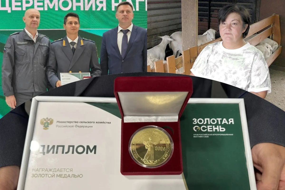Челябинская область встречает День работника АПК с федеральным триумфом: южноуральские аграрии привезли из Москвы награды с выставки «Золотая осень – 2026»