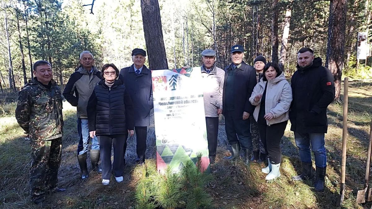 В Челябинском бору высадили 10 кедров В Челябинском бору высадили 10 кедров