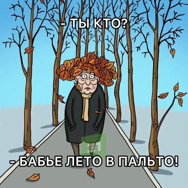 Последние теплые выходные. И на этом спасибо