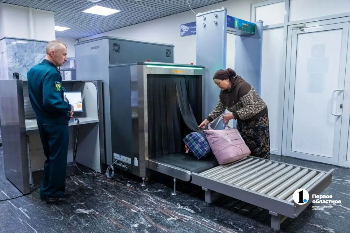 В аэропорту Челябинска изъяли почти 400 кг потенциально опасной рыбы и меда